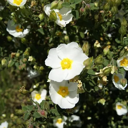 Отель La Borgata