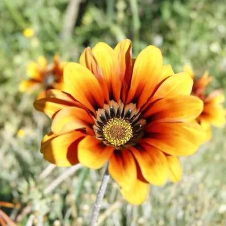 La Borgata Ξενοδοχείο 3*