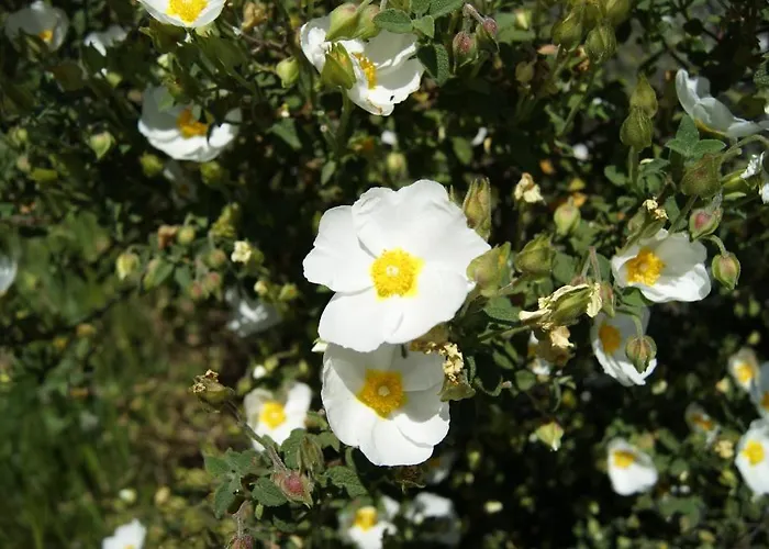 Szálloda La Borgata